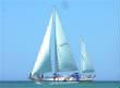 Sailing_Related_Pictures/100_4697.jpg