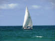Sailing_Related_Pictures/2010-08-22-Hornpipe_Sailing_003.JPG